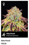 Alien Punch 6-pack Fems by Greenpoint