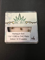 Harlequin BX4 (BC Bud Depot) 6/pack