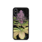 Oregon Cut Throat Biodegradable iPhone phone case Second Generation Genetics